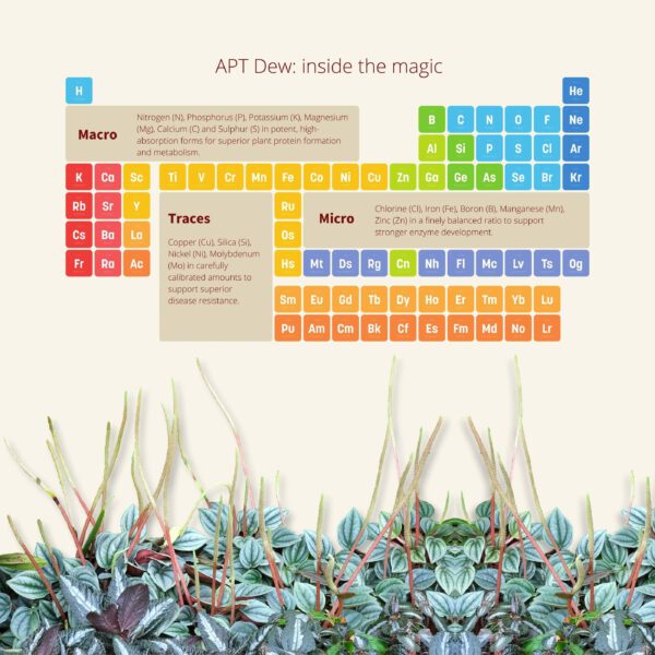 2Hr Aquarist APT DEW - Imagen 2