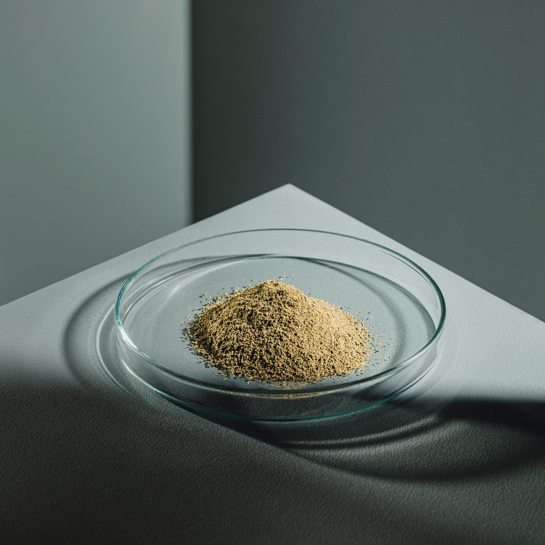 StreamBiz Crusta Grow Alimento de crecimiento - Imagen 2