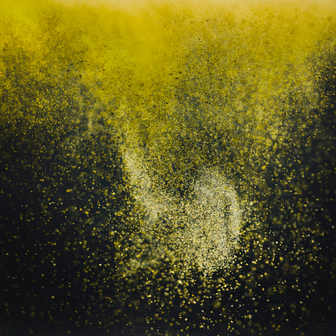 StreamBiz Crusta Grow Alimento de crecimiento - Imagen 3